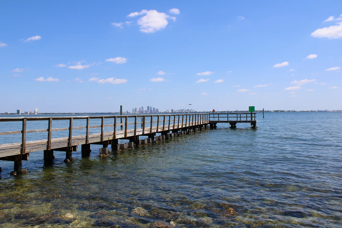 The Tampa skyline seen across the water from Ballast Point Park.